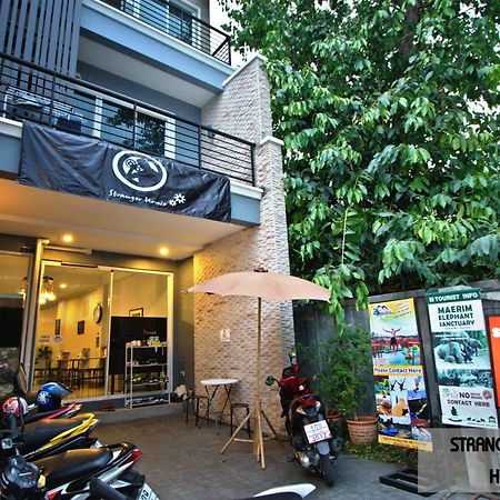 Stranger House Chiang Mai Exterior foto